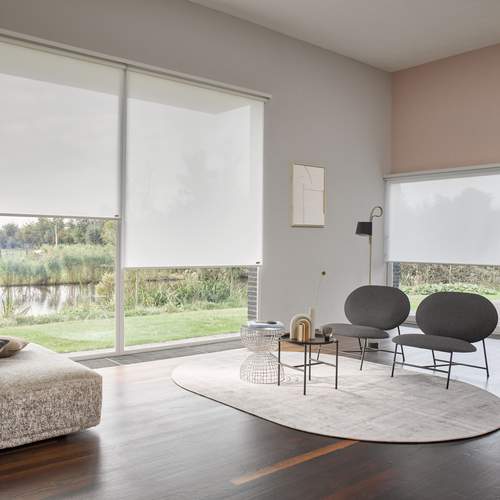 Screen Roller Blinds