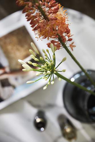 Inspiration Blog