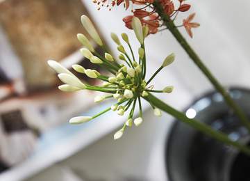 Put a Spring in Your Step